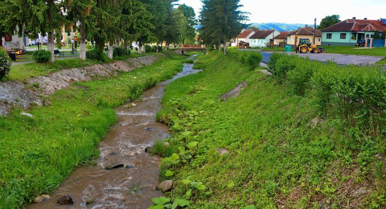 Pensiunea Salas Salasu de Sus Экстерьер фото